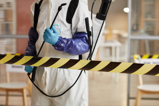 Professional Odor Removal technician working in Markleville, IN