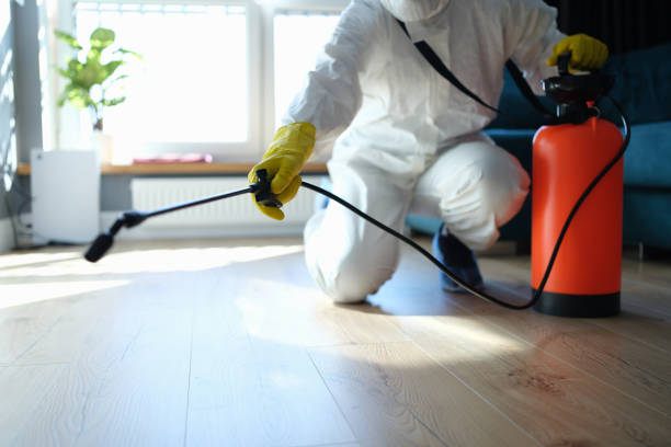 Reliable Odor Removal contractor in Markleville, IN by Trauma Clean Pros